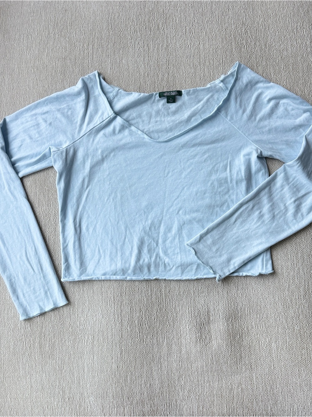 wild fable Light Blue Long Sleeve V-Neck Cropped Top